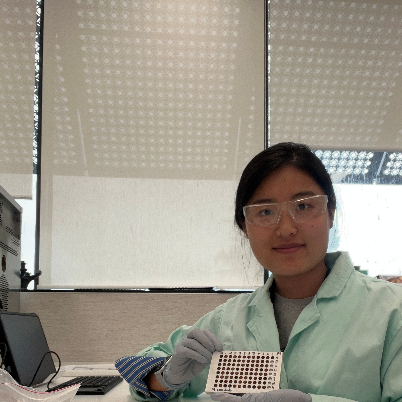 Picture 14: Yafang Cui working at AgResearch (1/3)